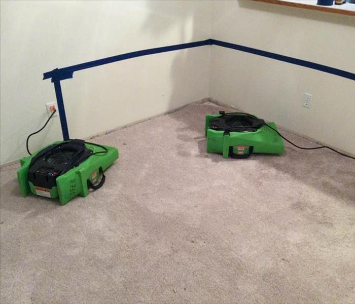 Water damage in a carpet