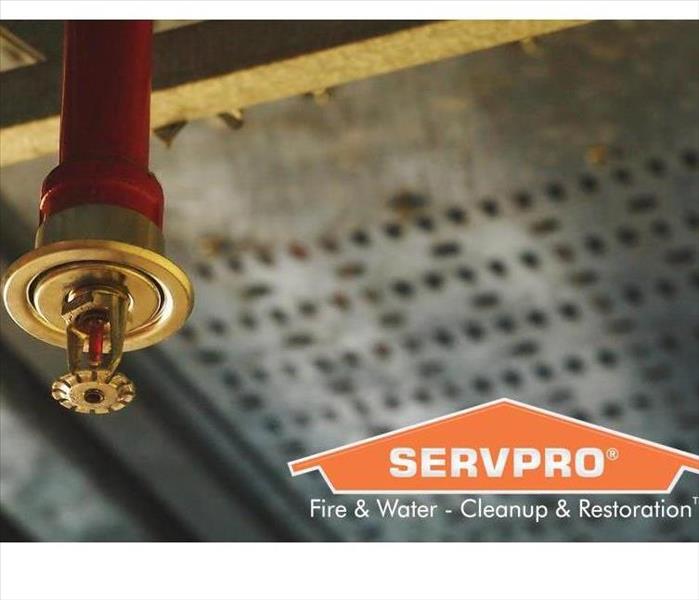 Fire sprinkler system