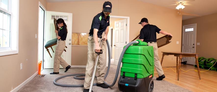 Mesa Grande, AZ cleaning services