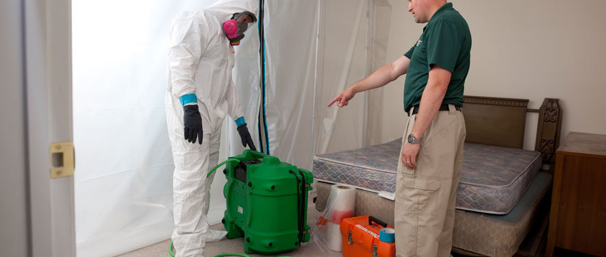 Mesa Grande, AZ mold removal process